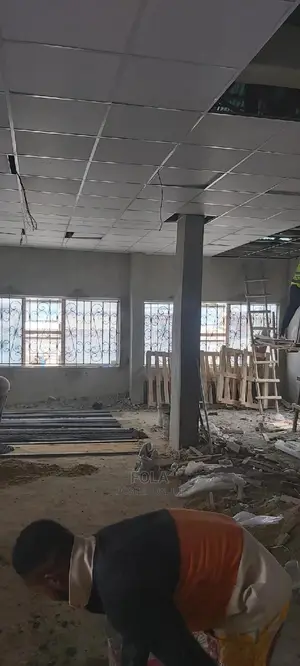 Suspended Ceilings