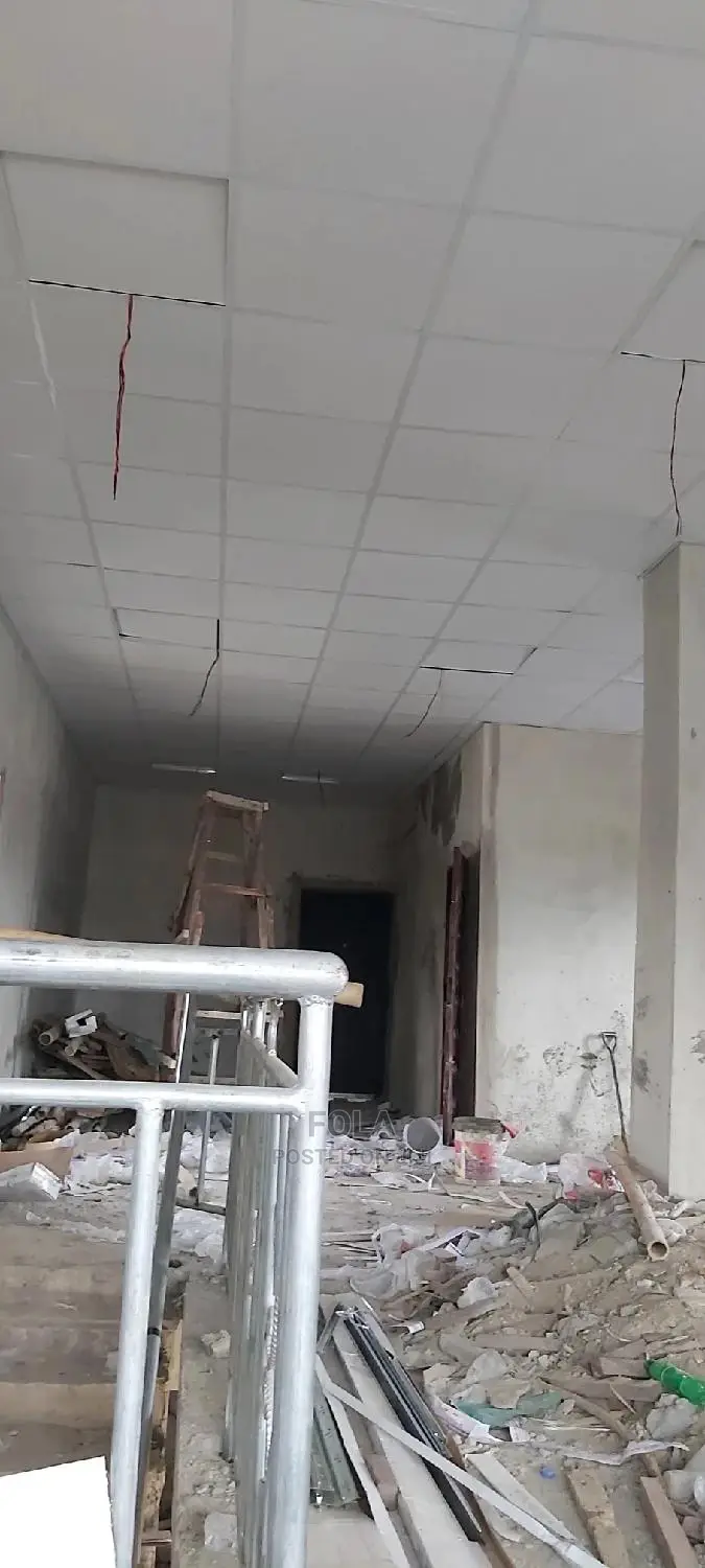 Suspended Ceilings