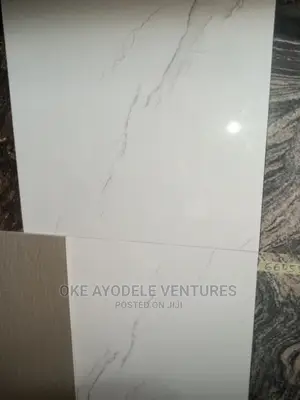 Goodwill Super Polished Tile 60/60