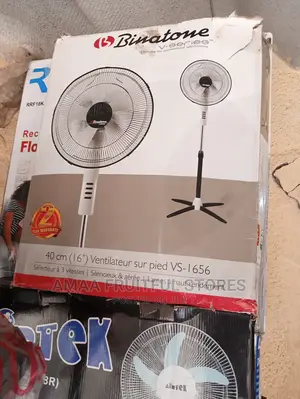 Binaton Standing Fan