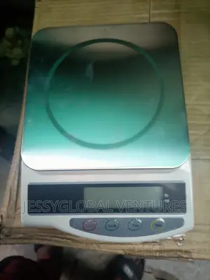 Golden Mettler Electronic Balance 0.1-600g