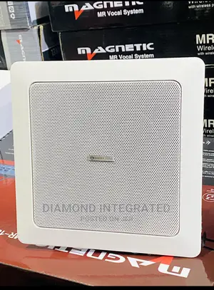 Lucky Tone 4 Corner Ceiling Speaker