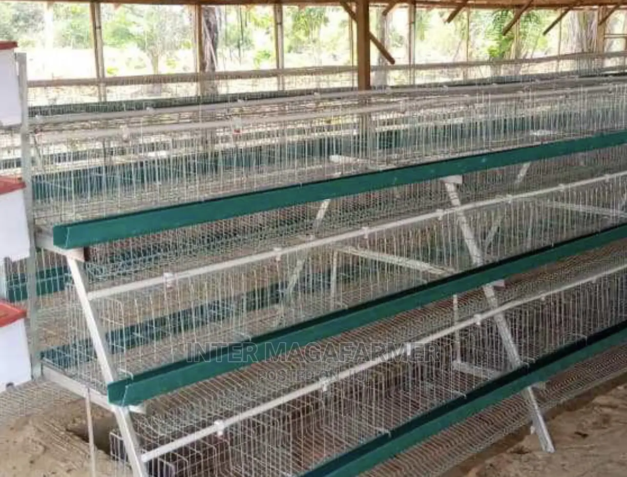 96 Cold Dipped Battery Cage