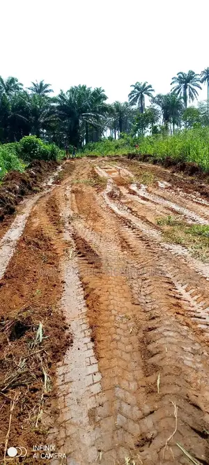 Omuanwa PHC 35plots,Solid Dry Land