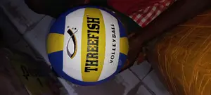 Double Fish Volleyball