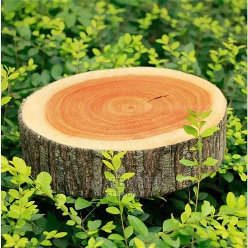 Woods Pillows Grain Soft