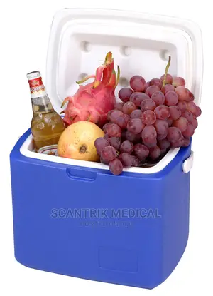 Durable Thermal Material Ice Box Cooler for Medicine 5L
