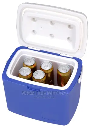 Original 5L Medicine Vaccine Cooler