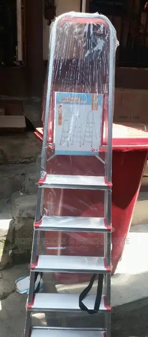 6 Steps Aluminum Ladder