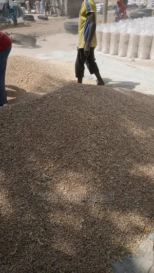 Honeybeans Sweet ( Brown Type)