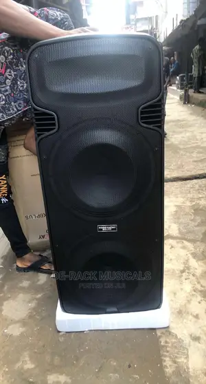 The Best Professional Double PA System With 2 Wireless Mic
