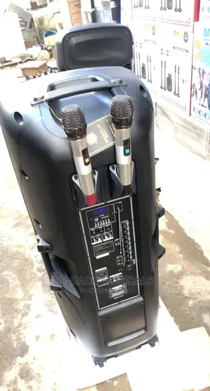 The Best Quality Double PA System With 2 Mic
