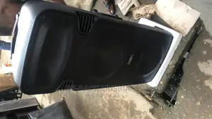 The Best Quality Double PA System With 2 Mic