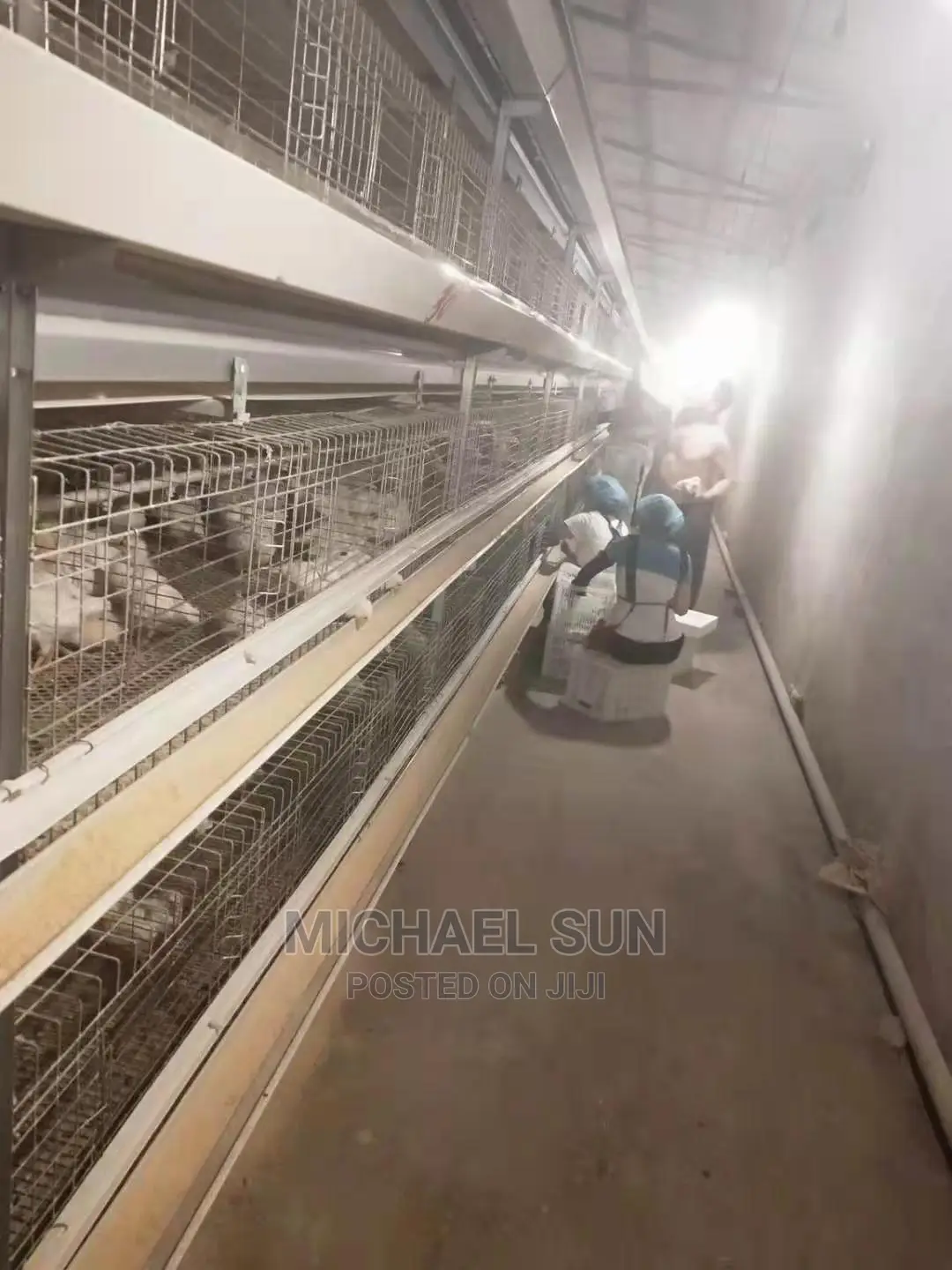 Best Quality Poultry Cage