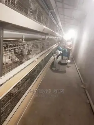 Best Quality Poultry Cage