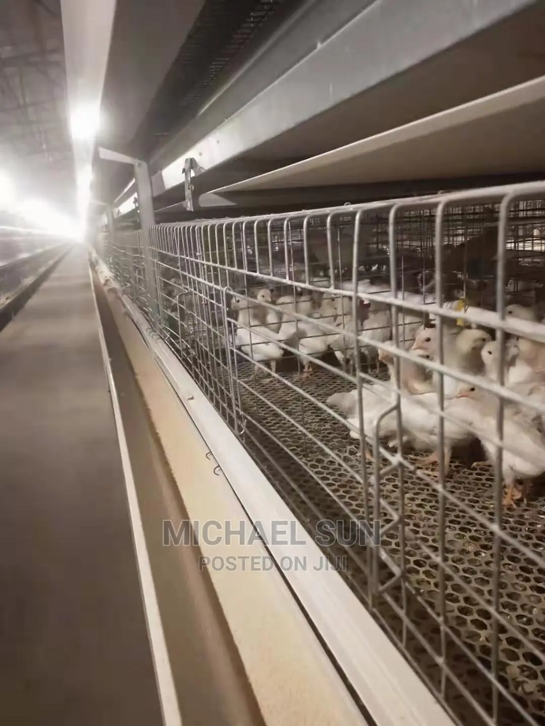 Best Quality Poultry Cage