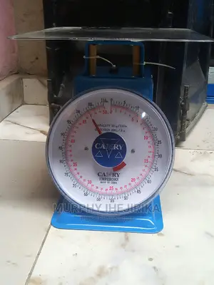 50 Kg / 110lb Camry Analog Scale