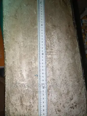 Plastic Meter Rule