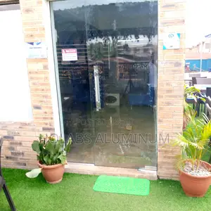 Swimdoor Framless
