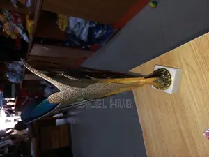 Trophy Award