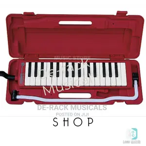 The Best Professional Harmonica Melodica