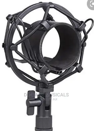 The Best Professional Shock Mount Microphone