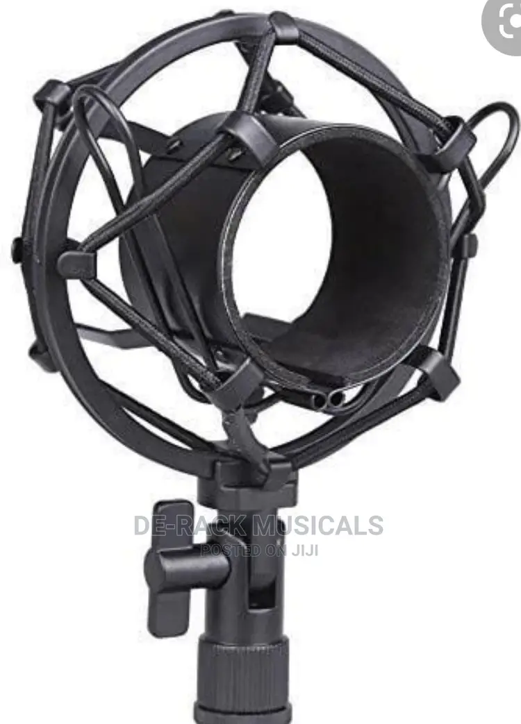 The Best Professional Shock Mount Microphone
