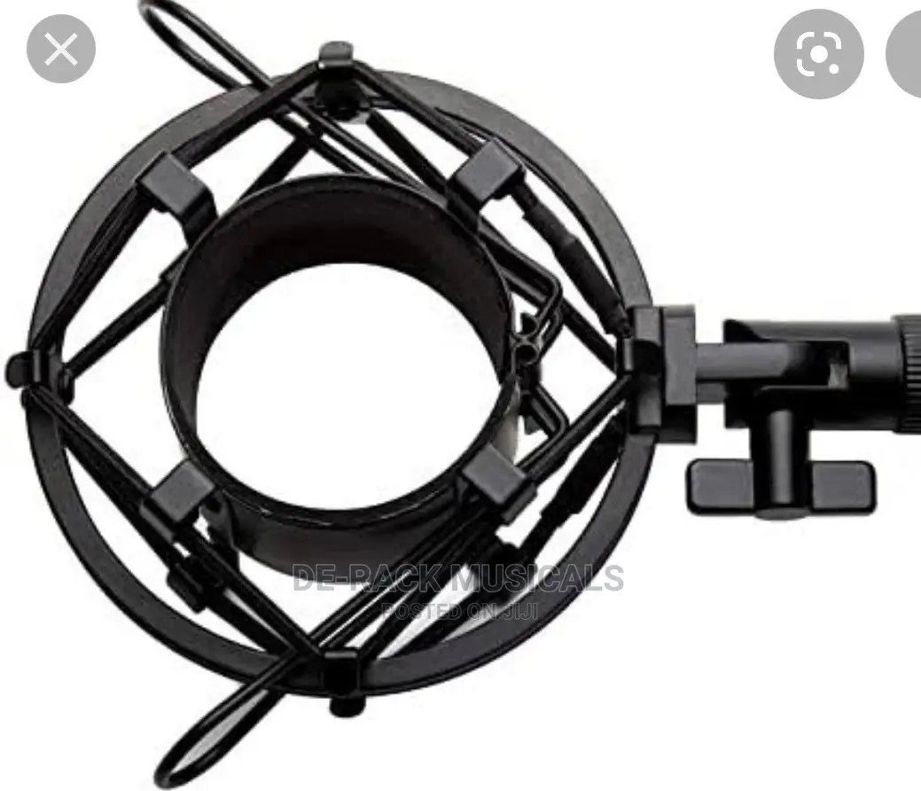 The Best Professional Shock Mount Microphone