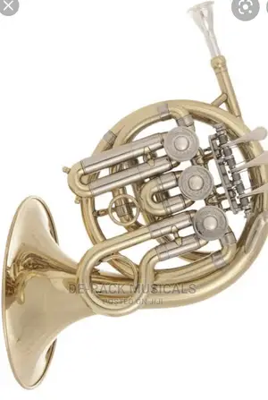 The Best Professional French Horn