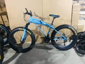 Brand New Fat Tire Bicycle Standard