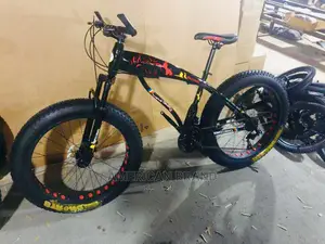 Brand New Fat Tire Bicycle Standard