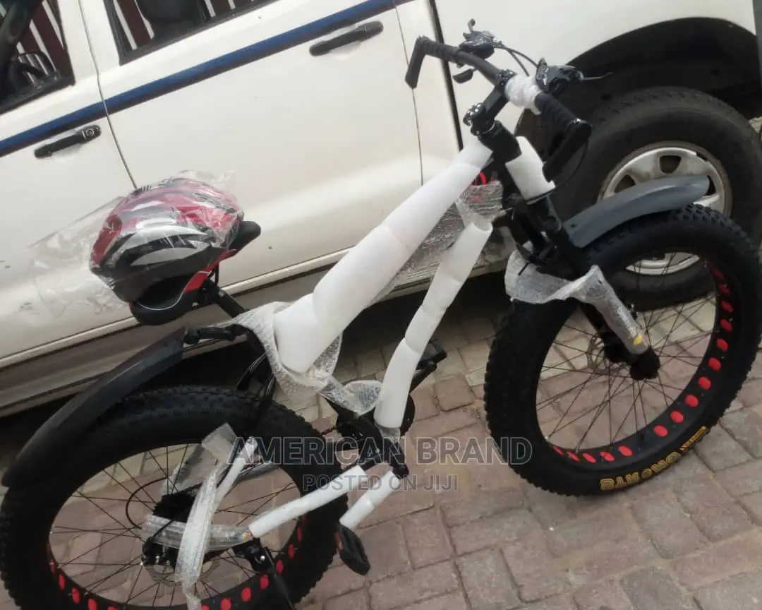 Brand New Fat Tire Bicycle Standard