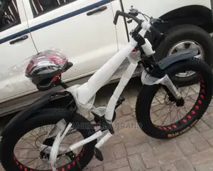 Brand New Fat Tire Bicycle Standard