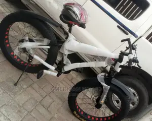 Brand New Fat Tire Bicycle Standard
