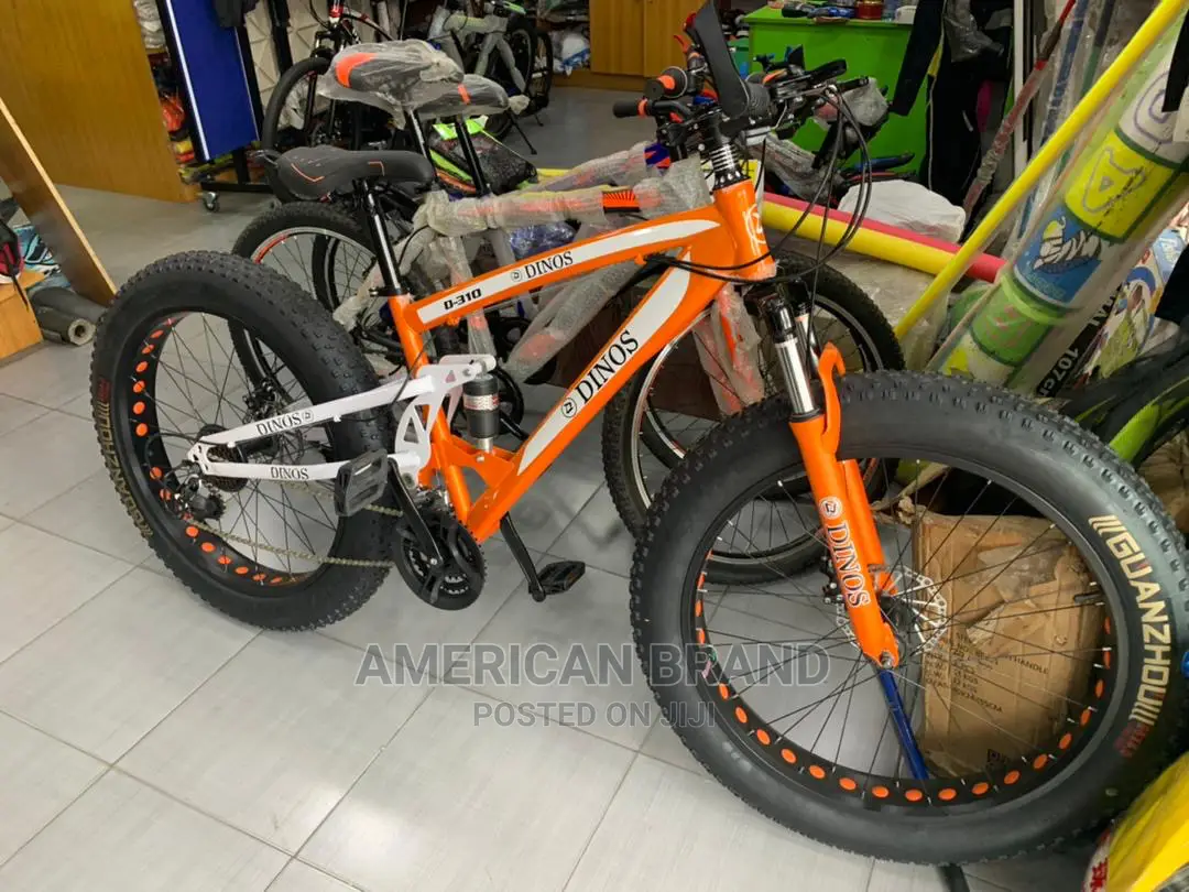 Brand New Fat Tire Bicycle Standard