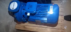 Lowara Booster Pump