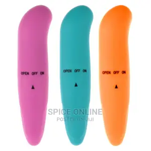 Dolphine Vibrator