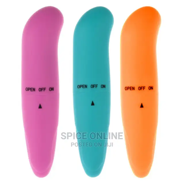 Dolphine Vibrator