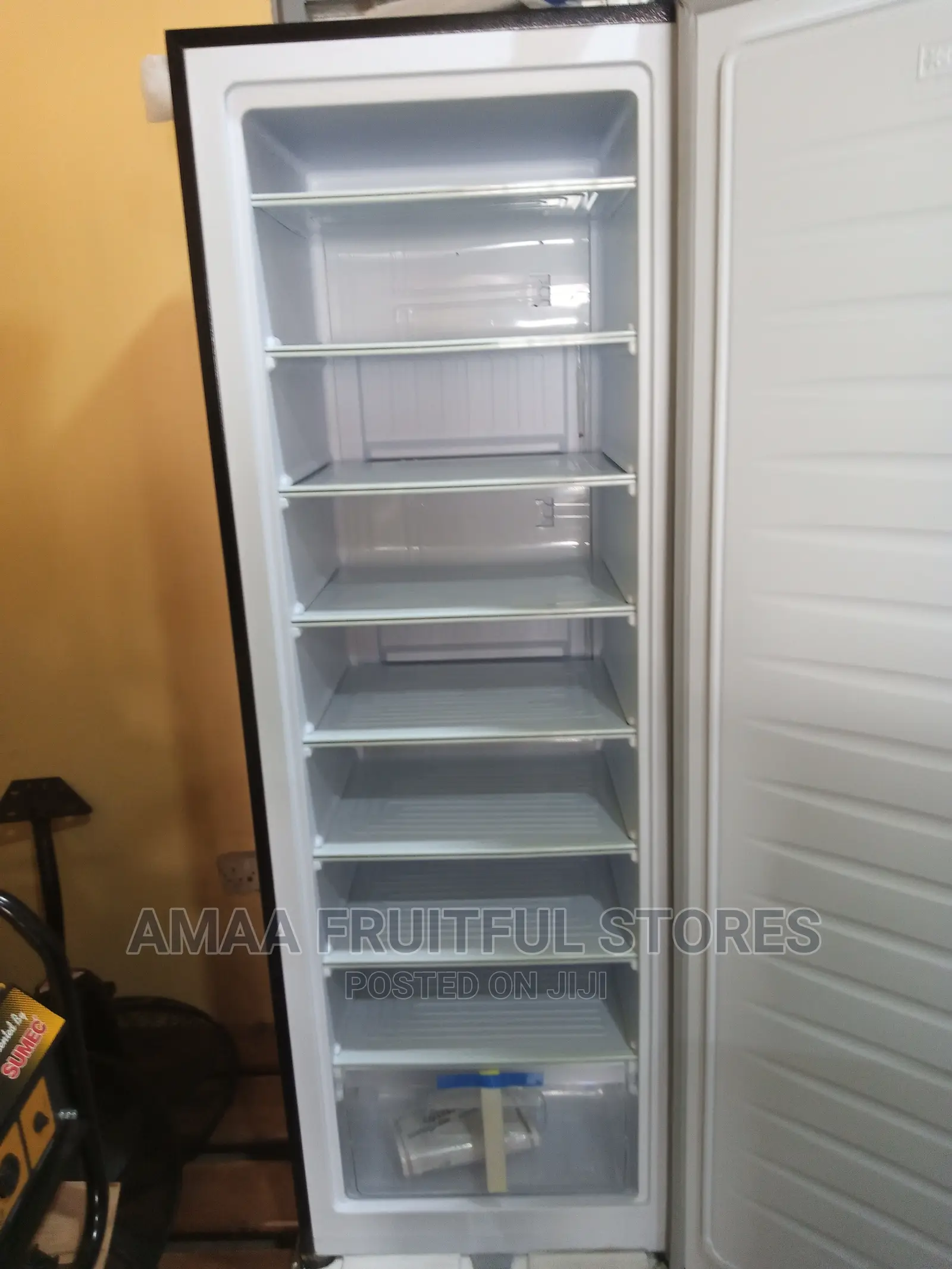 Bruhm Standing Freezer