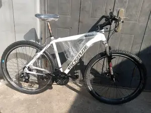McKenzie 29 Inches Sport Bicycle