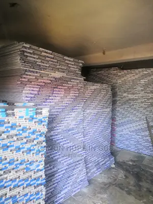 Plaster Boards 10mm And 12mm