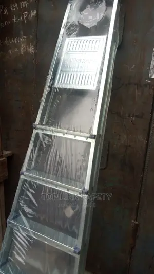 6 Step Ladder.