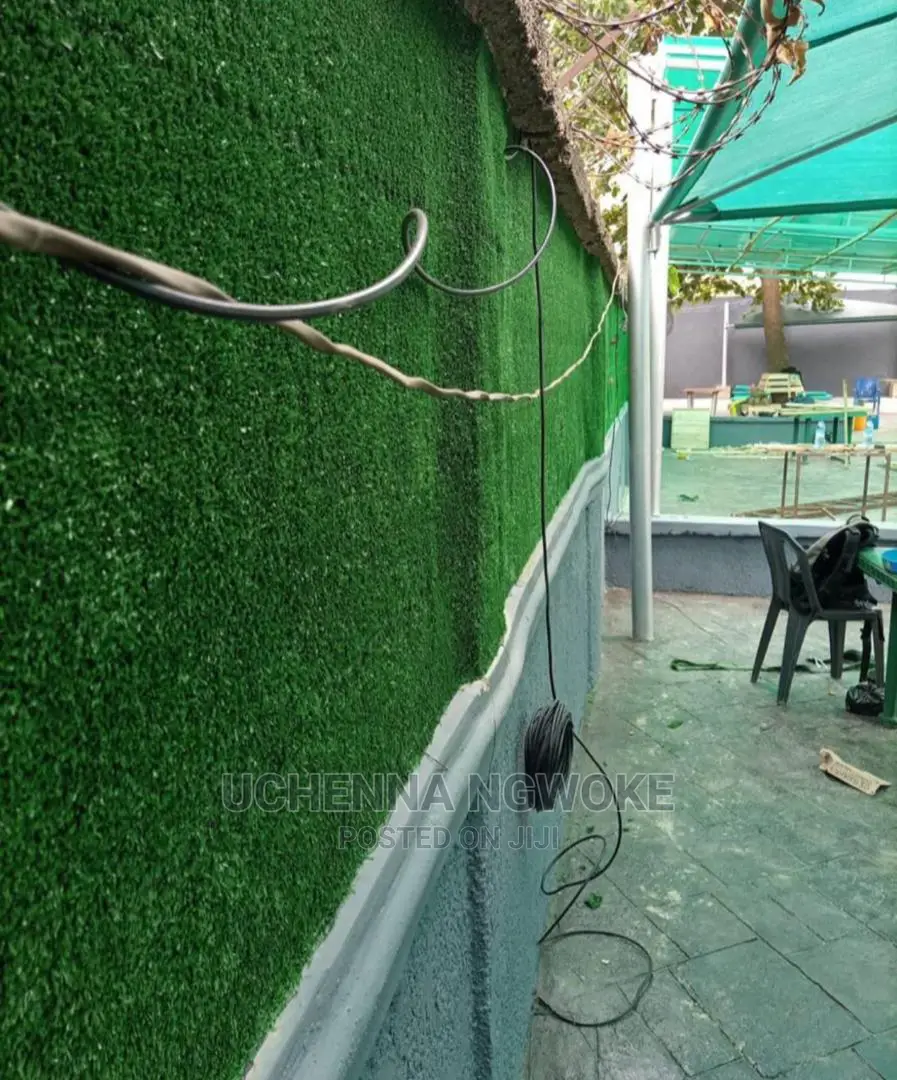 Standard Green Grass