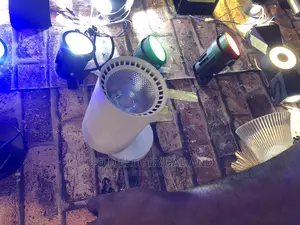 Single Track Light