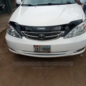 2.4 Bonnet Shade