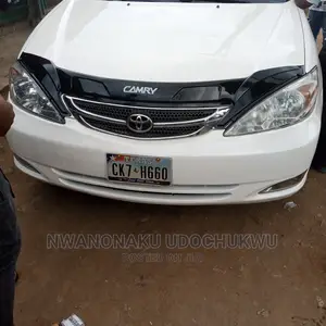 2.4 Bonnet Shade