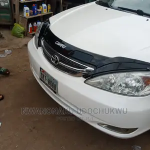 2.4 Bonnet Shade