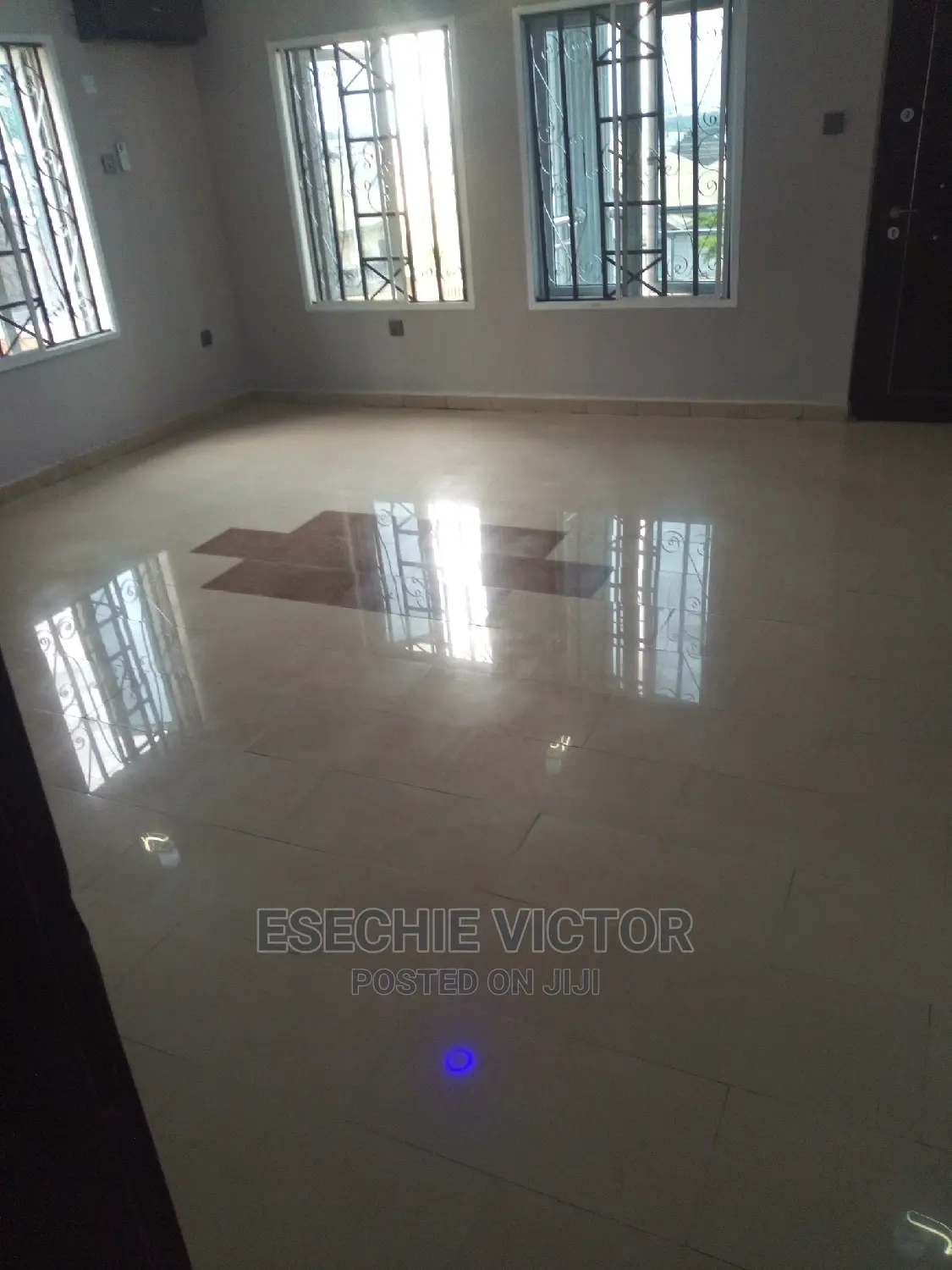 Professional Cleaning and Fumigation Service