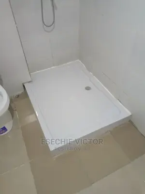 Professional Cleaning and Fumigation Service