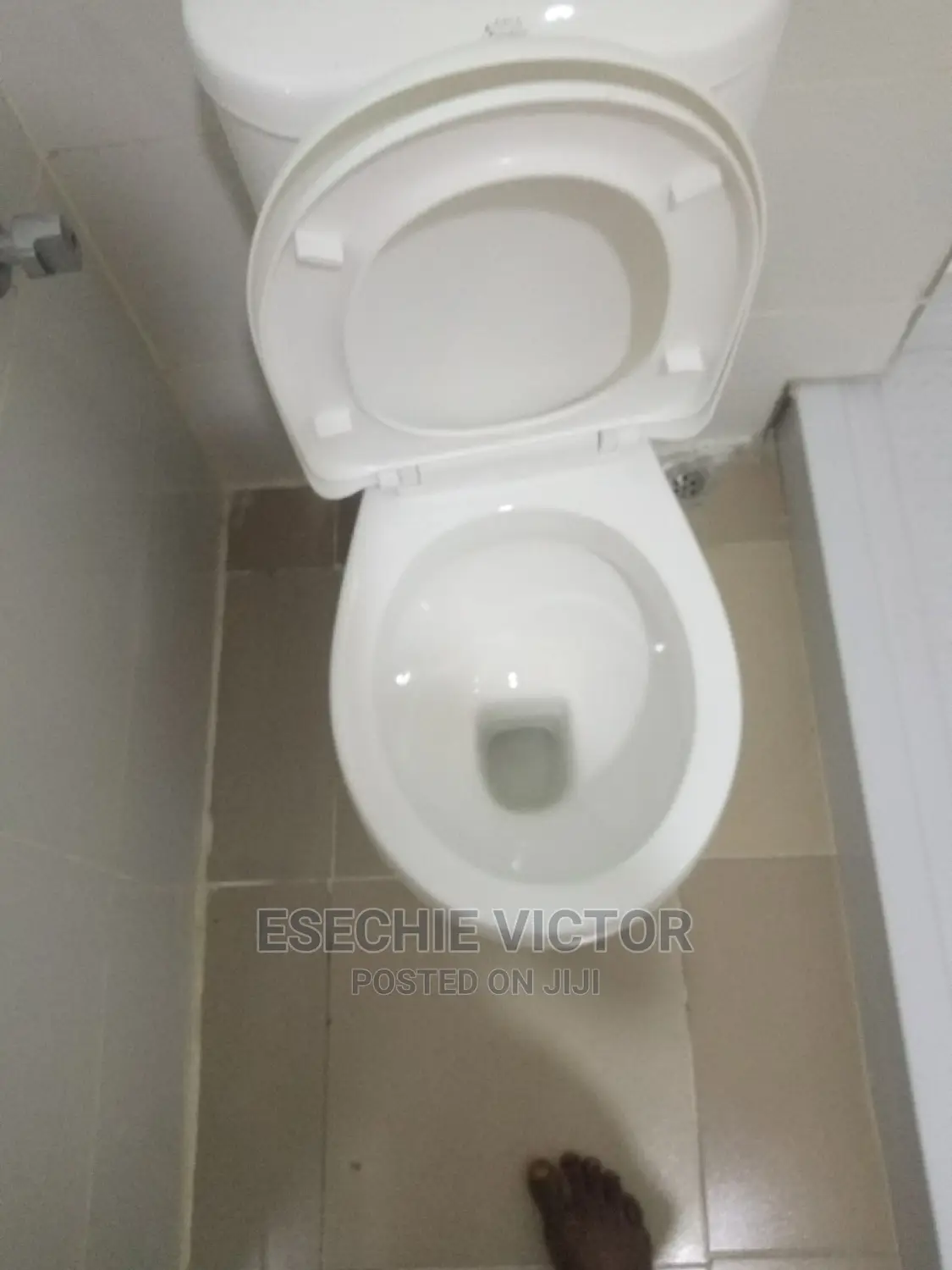 Professional Cleaning and Fumigation Service